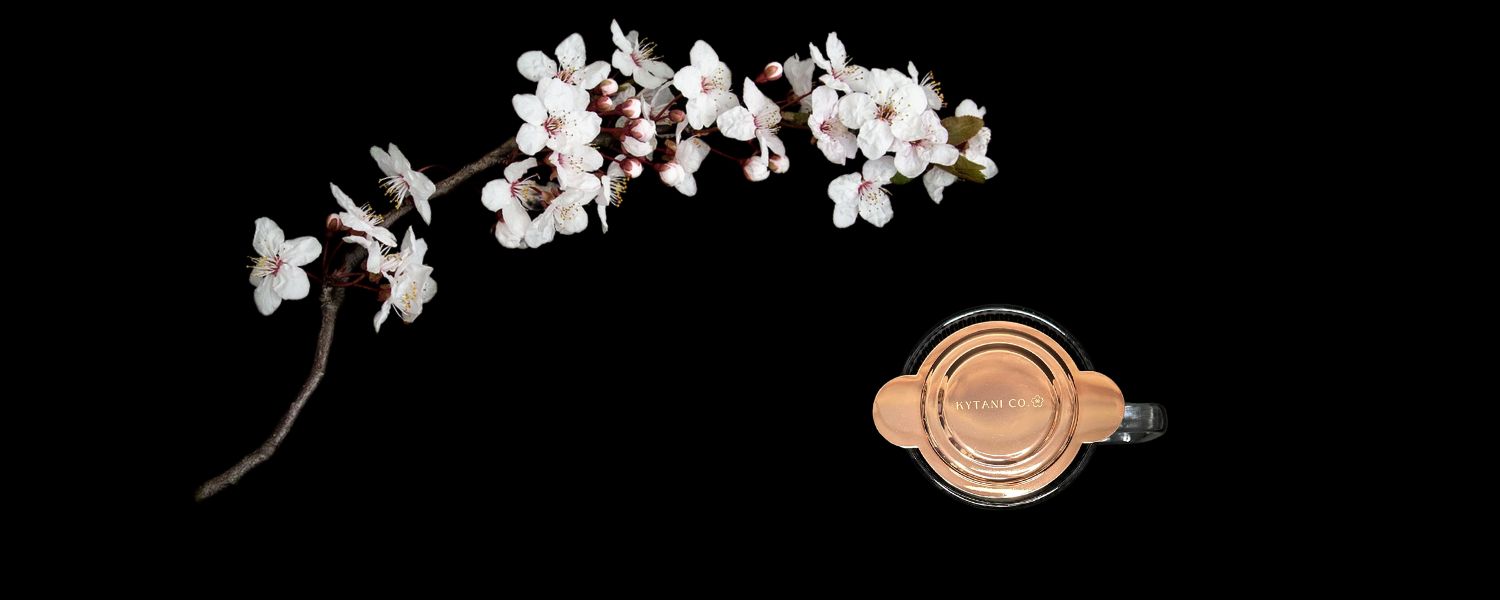 Branch of white cherry blossoms next to mug with kytani co. infuser inside on black background
