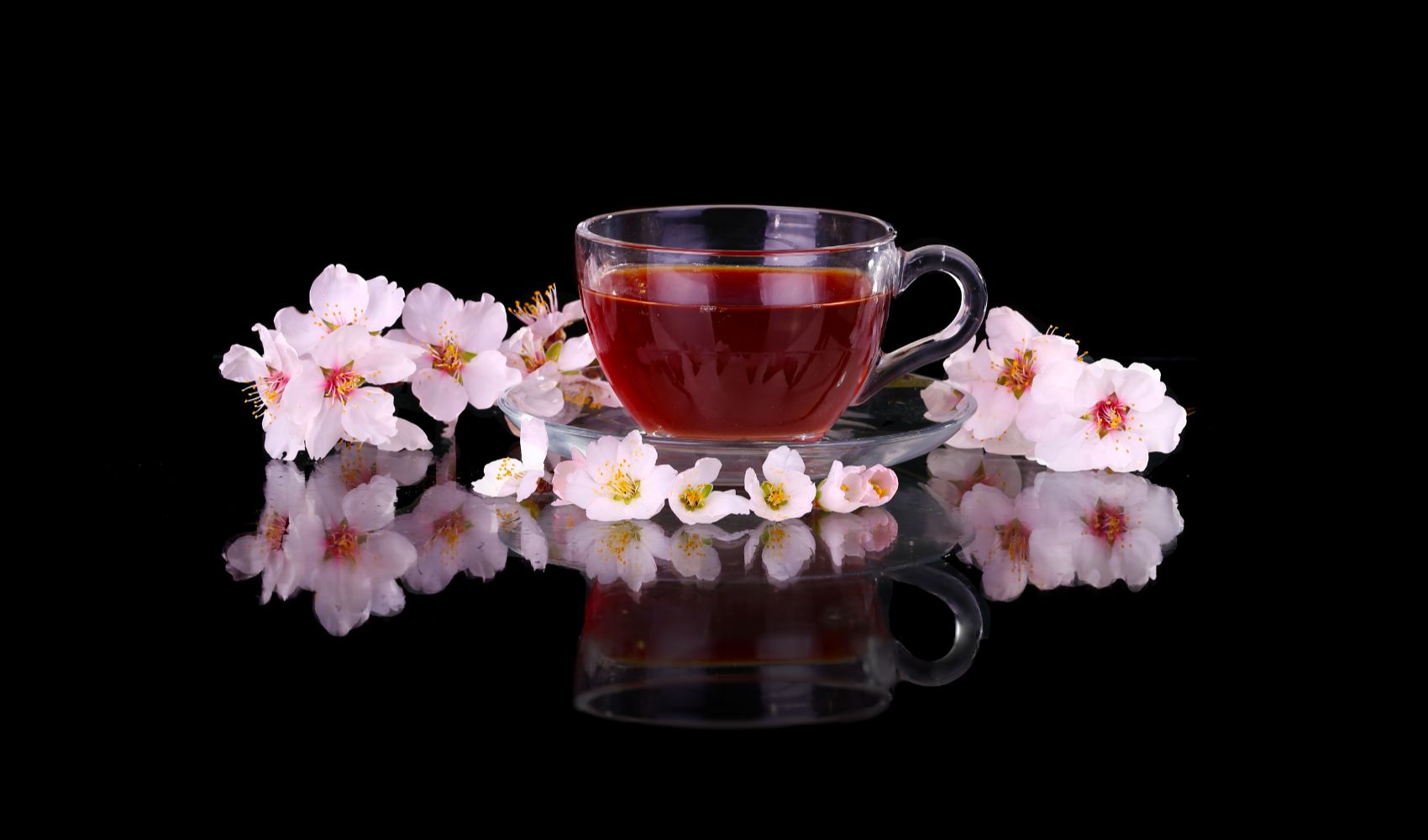 tea inside glass tea cup with saucer next to cherry blossom flowers and black background